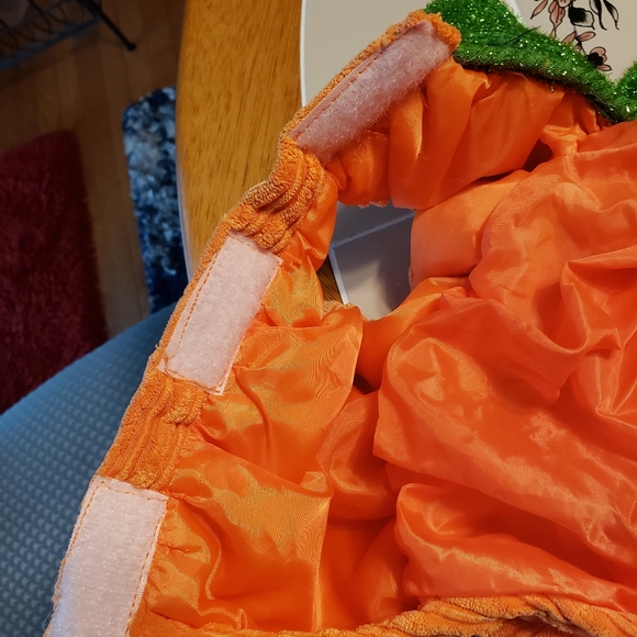 DOG COSTUME PUMPKIN - Picture 7 of 12